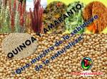 Quinoa y Amaranto